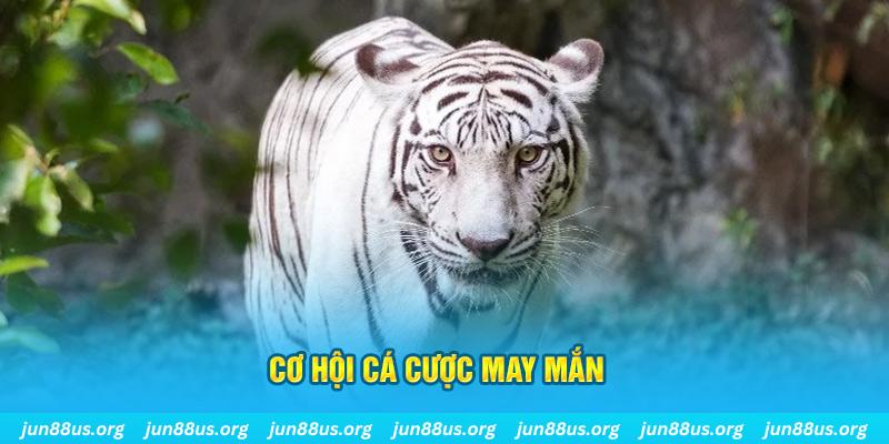 i8 game hết slot la gì