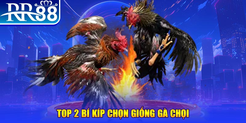 i8 game đăng nhập poker số 1
