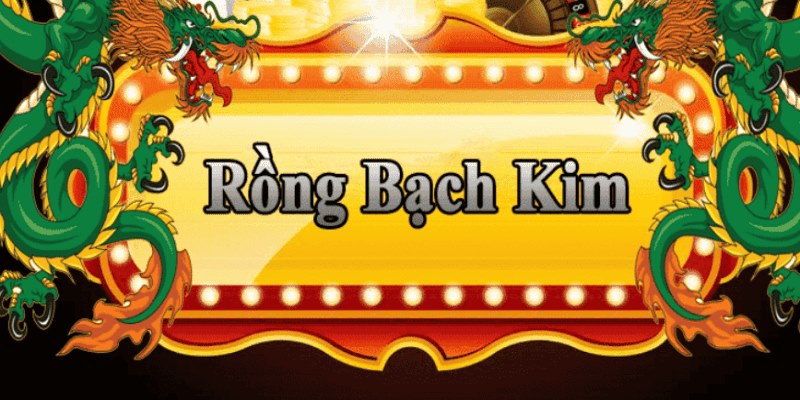 i8 game đăng nhập roulette 2025