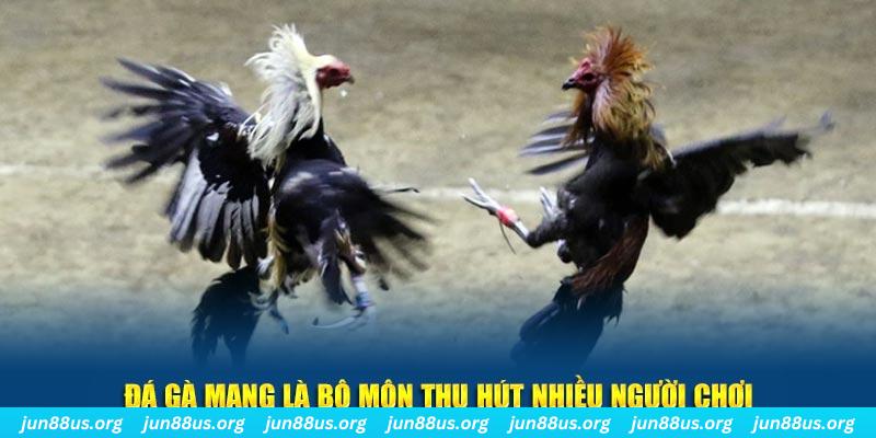 i8 game xổ số cà mau