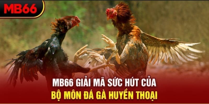 i8 game Phi Đội Ưu Tú