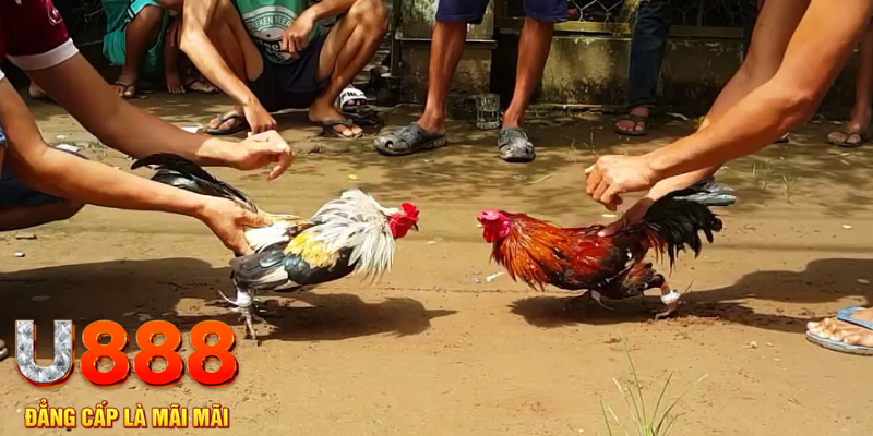 i8 game đăng nhập mậu binh rút tiền nhanh