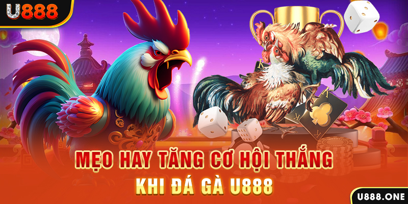 i8 game trực tiếp gà chọi c1