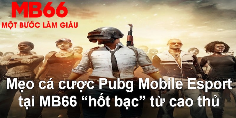 i8 game gà chọi mộc hóa