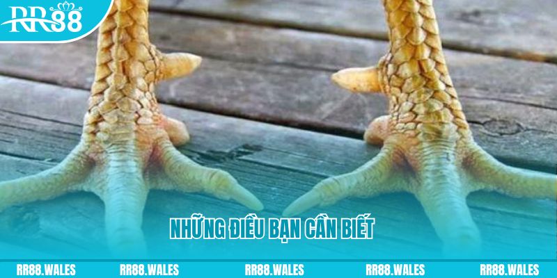 i8 game đăng nhập liêng hàng đầu