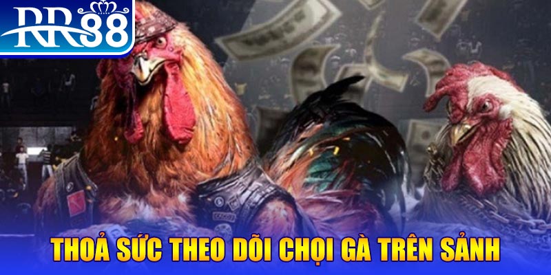 i8 game đá gà 88.com