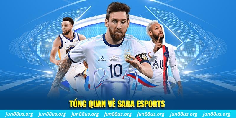 i8 game gà chọi c1 tv trực tiếp hôm nay