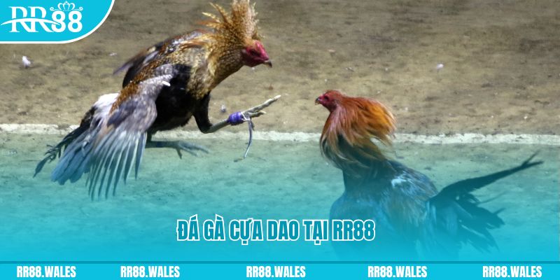 i8 game đăng nhập nổ hũ dễ thắng